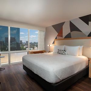 One-Bedroom King Suite Sofa Bed